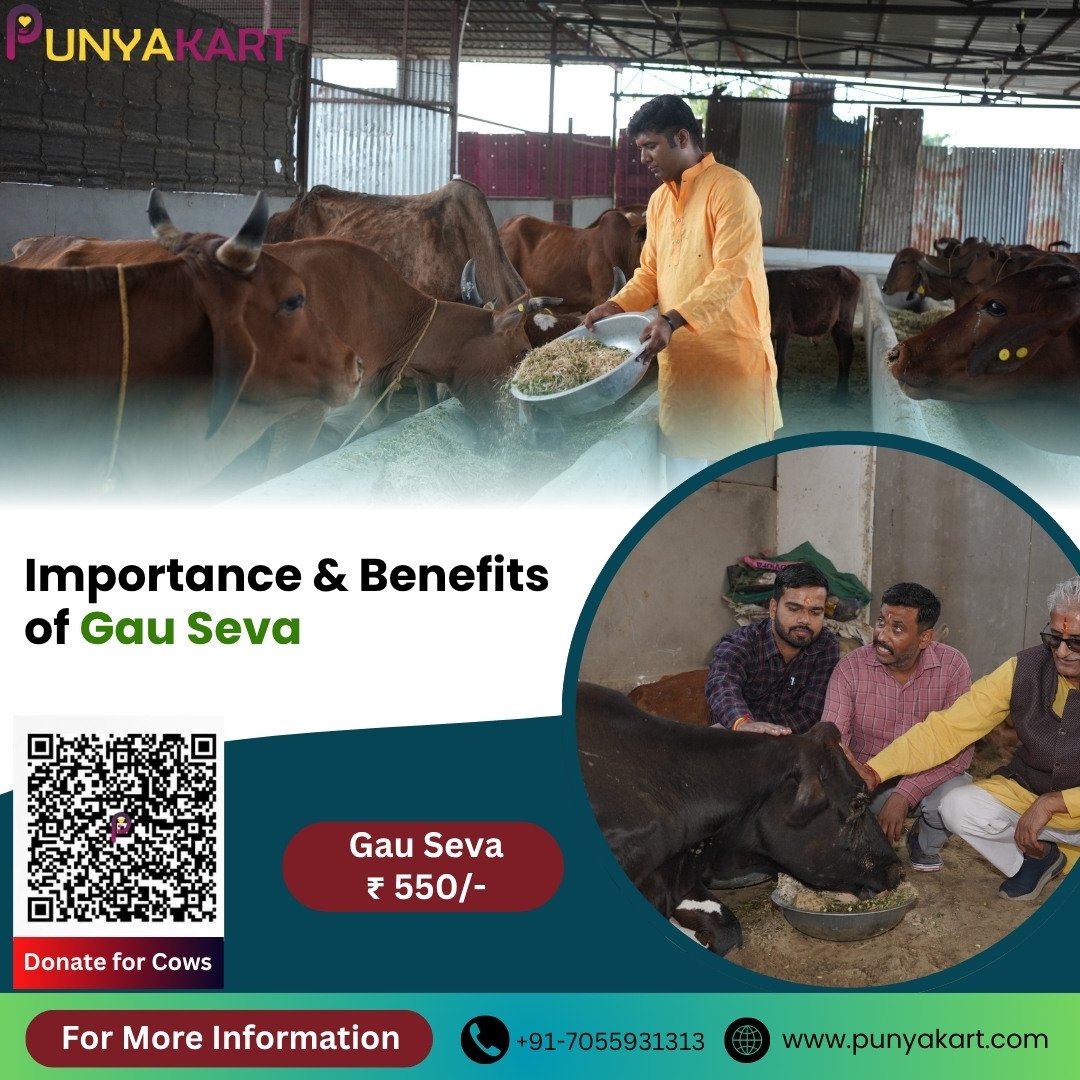 Importance of Gau Seva