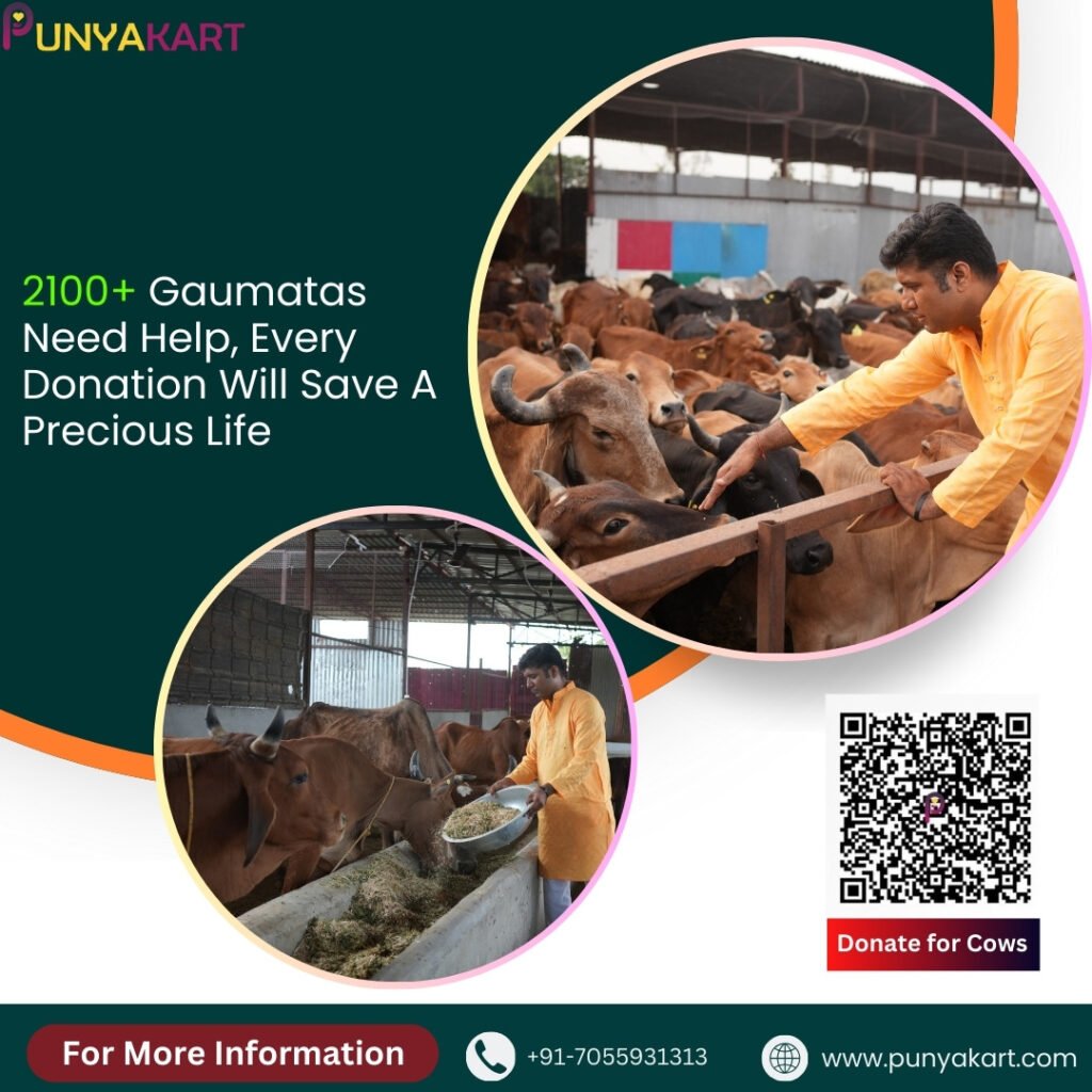 Save Cows