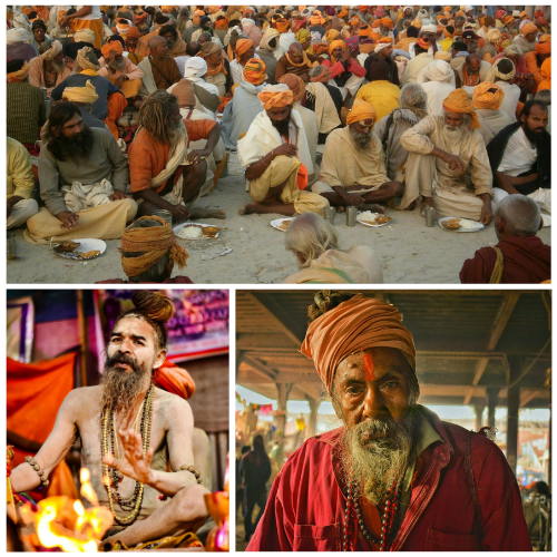 Sadhu, Sant Seva