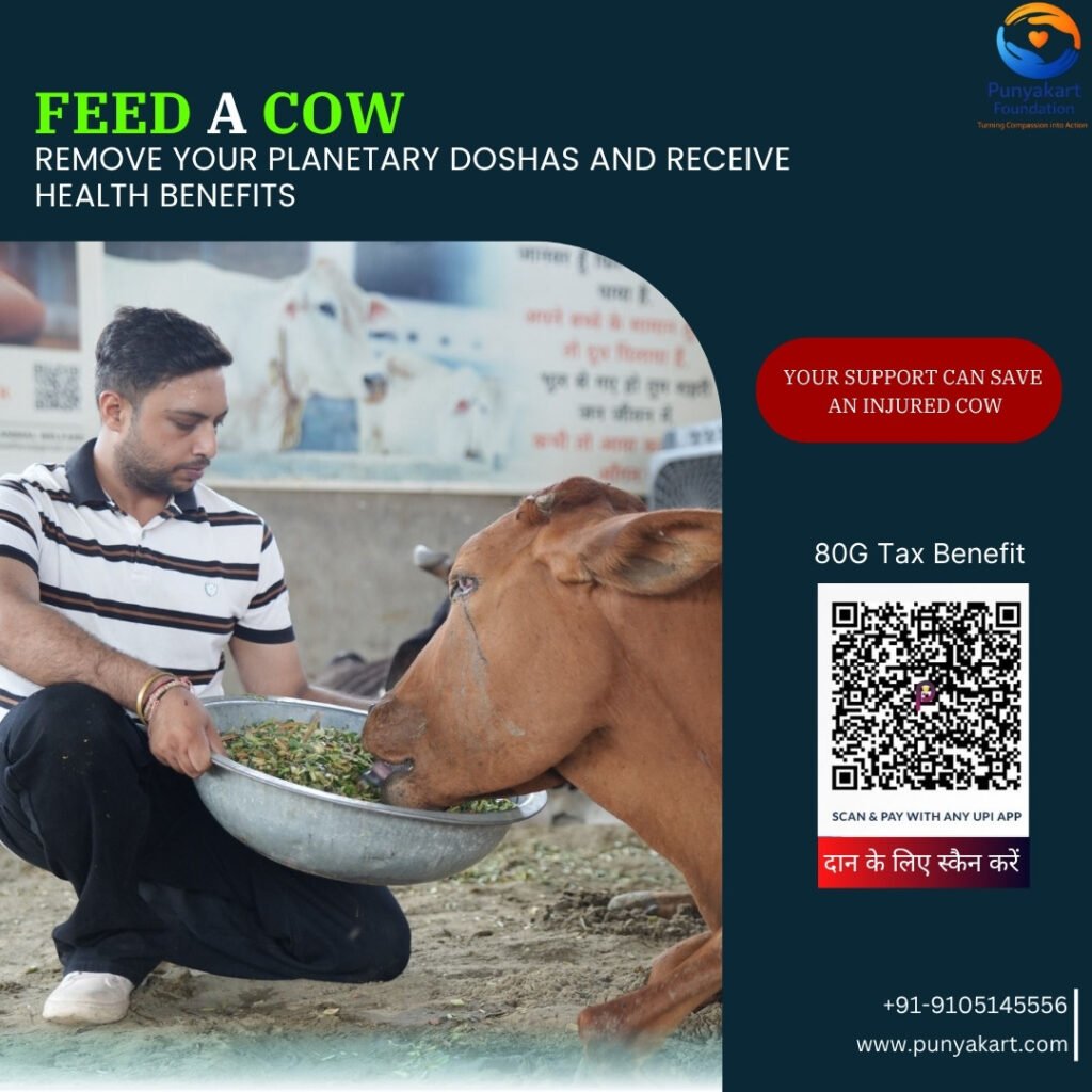 Feed A Cow